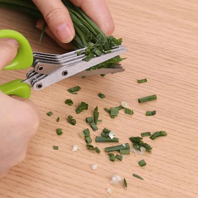 Ciseaux cuisine Vert - peigne nettoyage inclus