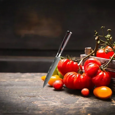 Couteau utilitaire japonais Damas planté dans tomates cerise fraîches