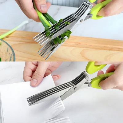 Ciseaux de cuisine 5 lames Vert Clair avec peigne - découpe herbes sur planche
